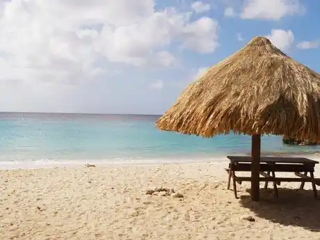 Grenada Spice
